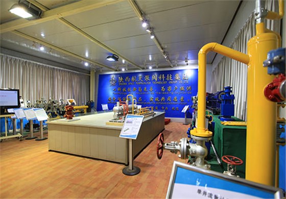 展示各(gè)類閥門展示(shì)圖-航天泵閥(fa)