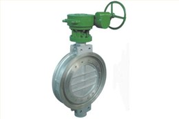 日(rì)标對夾(jia)式、法蘭(lan)式偏心(xīn)硬密封(feng)蝶閥