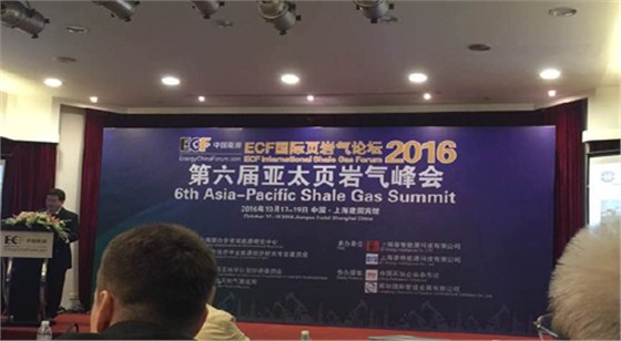 頁岩(yán)氣峰會(hui) 頁岩氣(qì)峰會