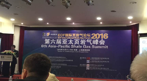 頁(ye)岩氣峰會 頁岩氣(qi)峰會