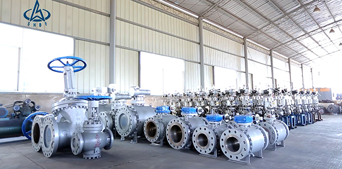 航(hang)天泵閥廠(chǎng)區介紹 (12)