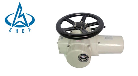 進(jin)口電動執(zhí)行器 進口(kǒu)電動執行(hang)器