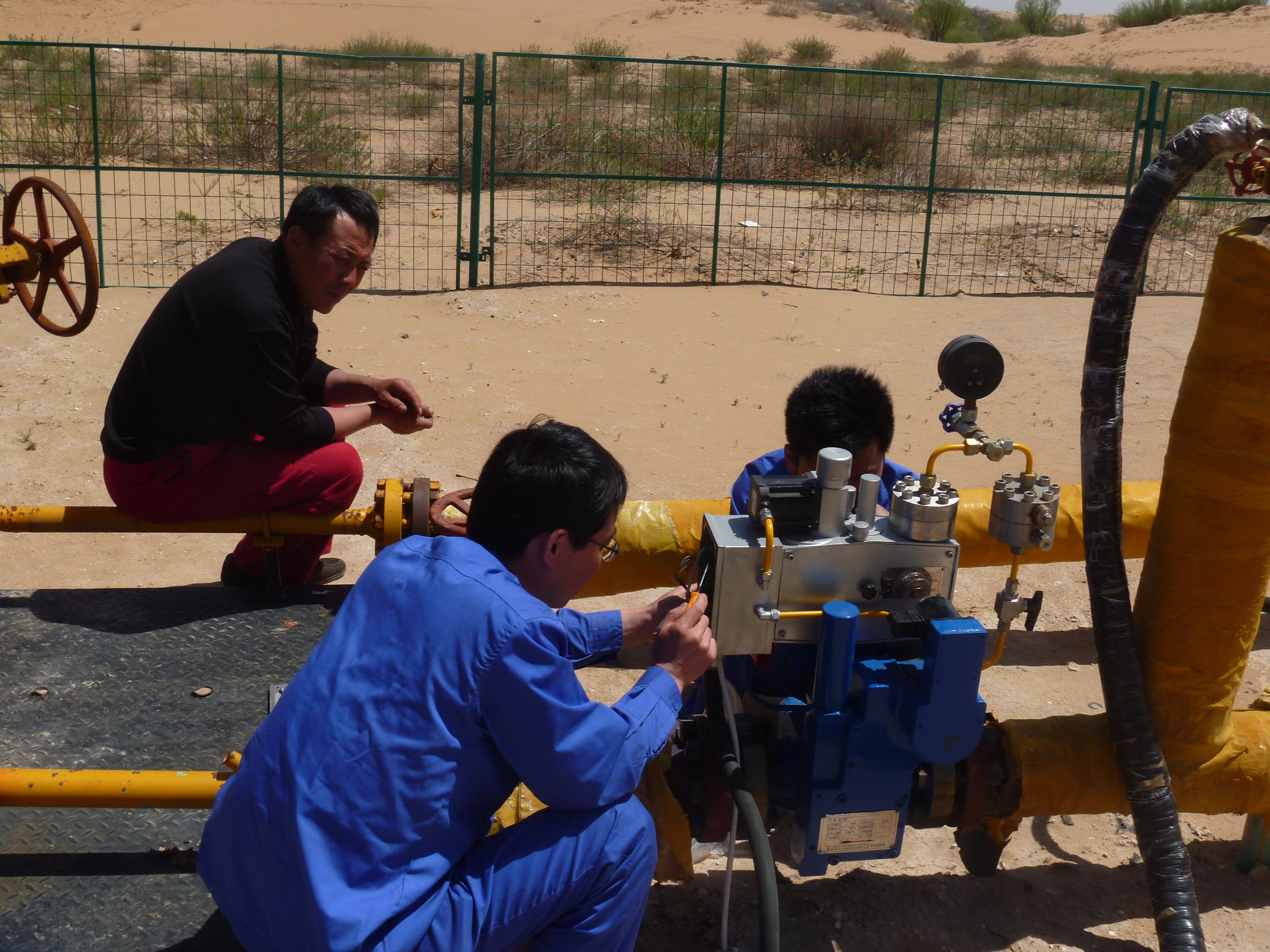 照(zhào)片 282 照片 282